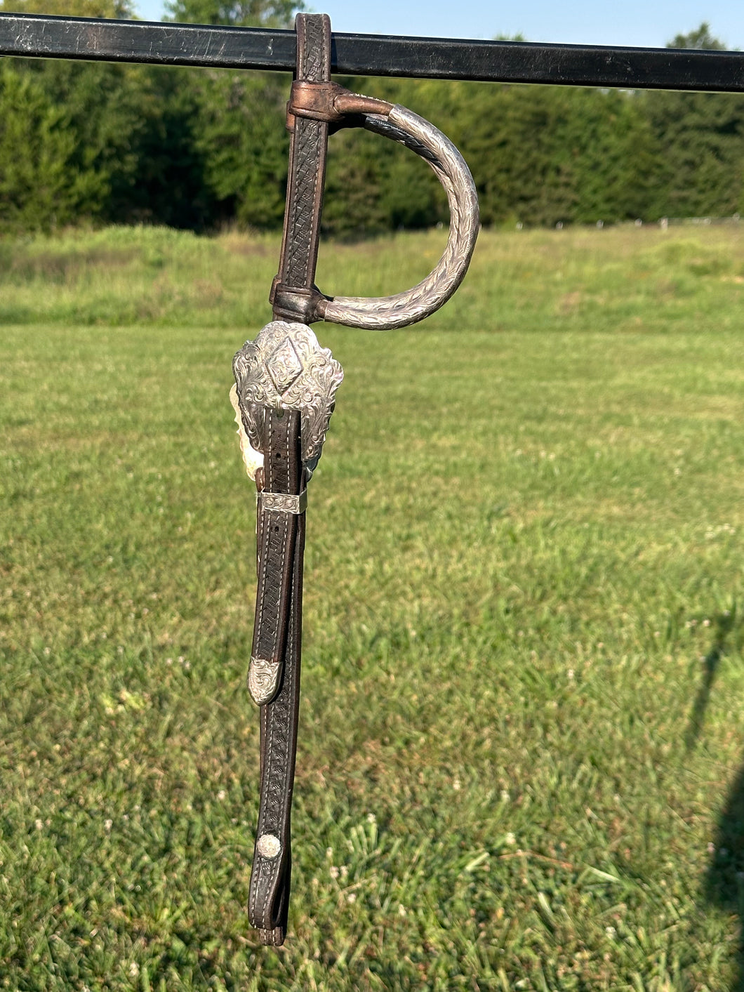 Used Blue Ribbon Show Headstall