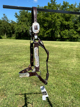New Kathy’s Horse Size Show Halter