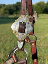 Used Kathy’s Horse Size Show Halter