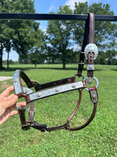 Silver Mesa Horse Size Show Halter