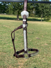 Used Blue Ribbon Horse Size Show Halter