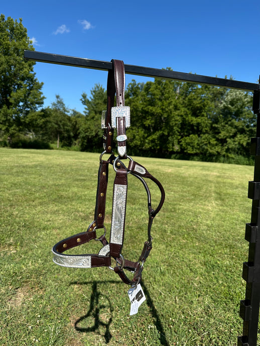 New Kathy’s Horse Size Show Halter