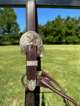 Used Blue Ribbon Horse Size Show Halter