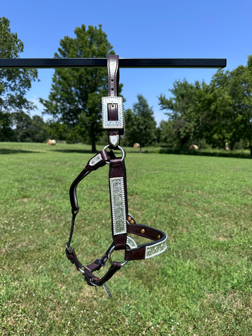 New Kathy’s Mare Size Show Halter