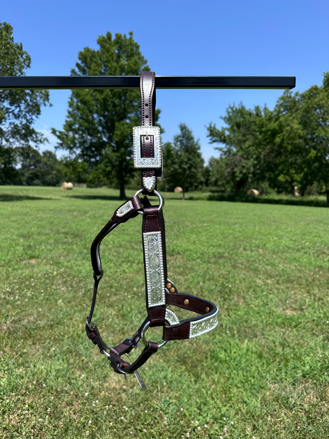New Kathy’s Mare Size Show Halter
