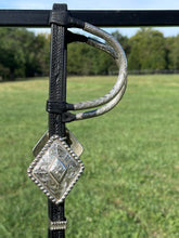 Used Blue Ribbon Show Headstall