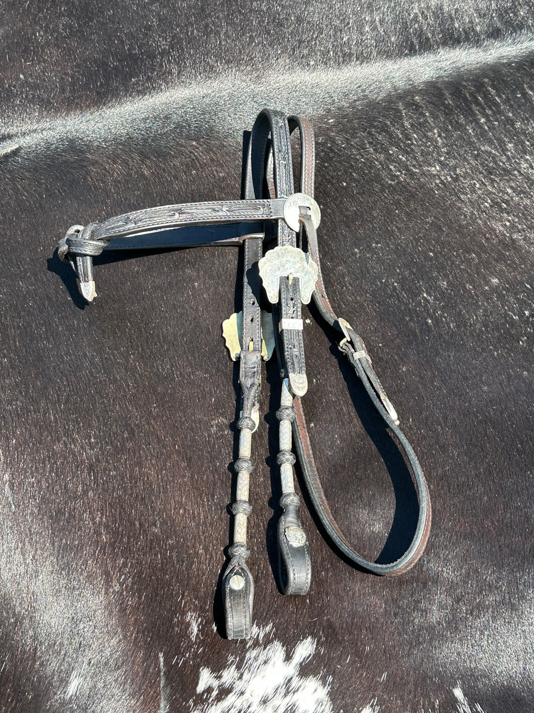 Used Blue Ribbon Show Headstall