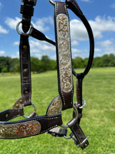 Used Harris Horse Size Show Halter
