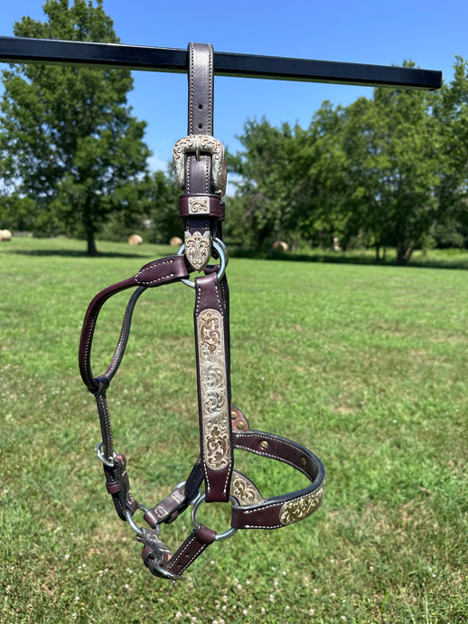 Used Harris Horse Size Show Halter