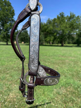 Used Harris Mare Size Show Halter