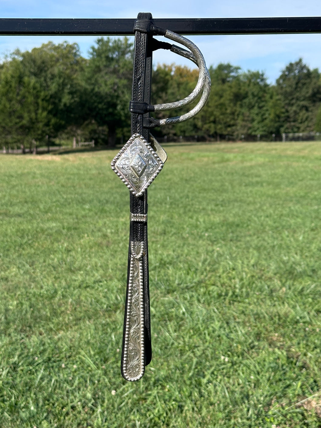 Used Blue Ribbon Show Headstall
