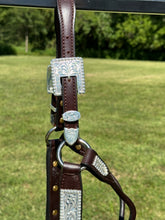 New Kathy’s Yearling Show Halter