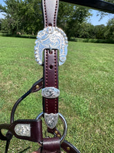 New Kathy’s Yearling Size Show Halter