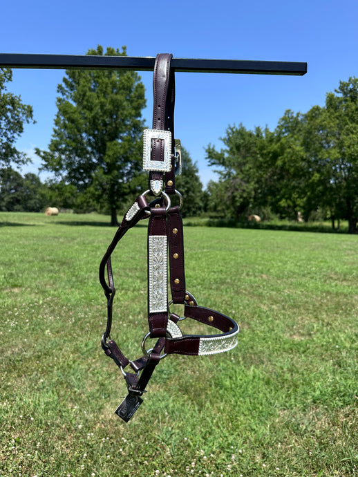 New Kathy’s Horse Size Show Halter