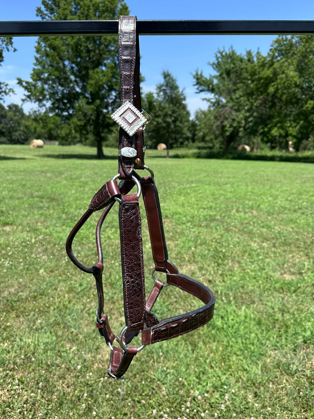 New Kathy’s Horse Size Caiman Show Halter
