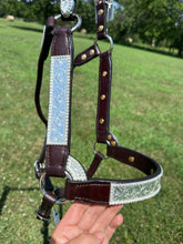 New Kathy’s Horse Size Show Halter