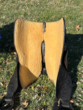 15 1/2” Blue Ribbon Show Saddle