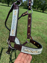 New Kathy’s Horse Size Show Halter