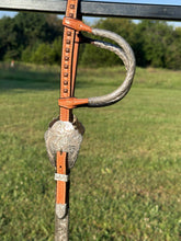 New Blue Ribbon Show Headstall