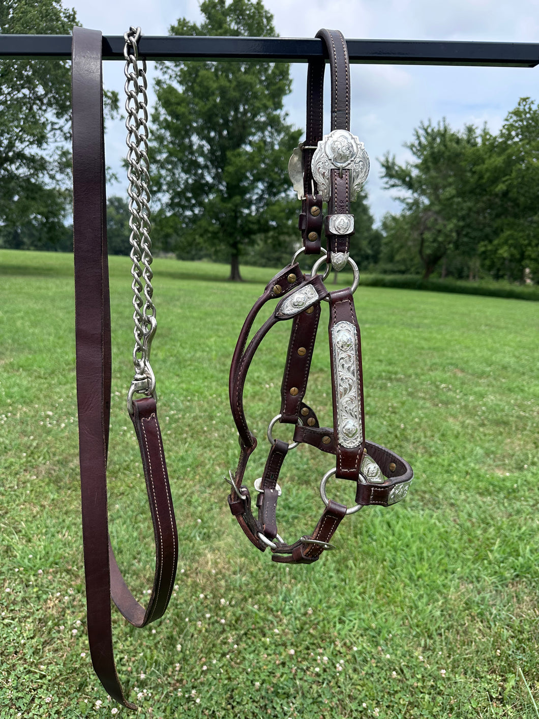 Silver Mesa Mare Size Show Halter & Lead