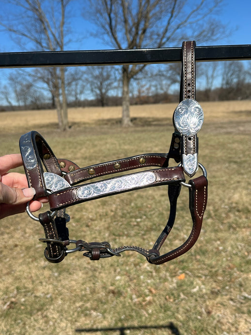 Used Harris Weanling Size Show Halter