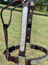 Used Blue Ribbon Horse Size Show Halter