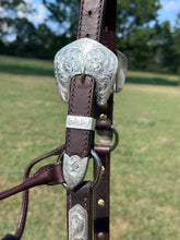 Used Blue Ribbon Horse Size Show Halter