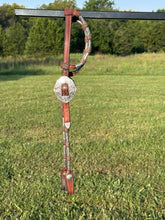 Used Broken Horn Show Headstall