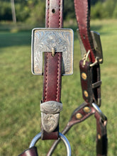 Used Kathy’s Horse Size Show Halter