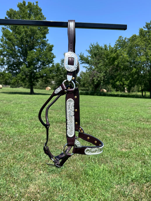 New Kathy’s Horse Size Show Halter