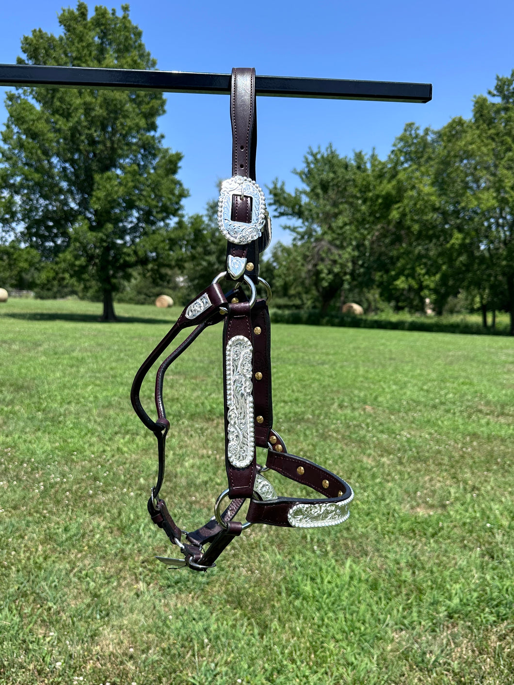 New Kathy’s Horse Size Show Halter