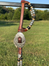 Used Broken Horn Show Headstall