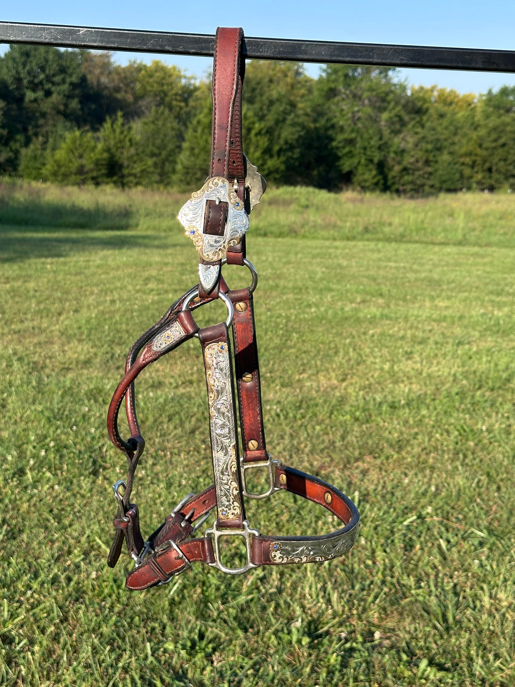 Used Kathy’s Horse Size Show Halter