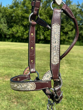 Used Harris Horse Size Show Halter