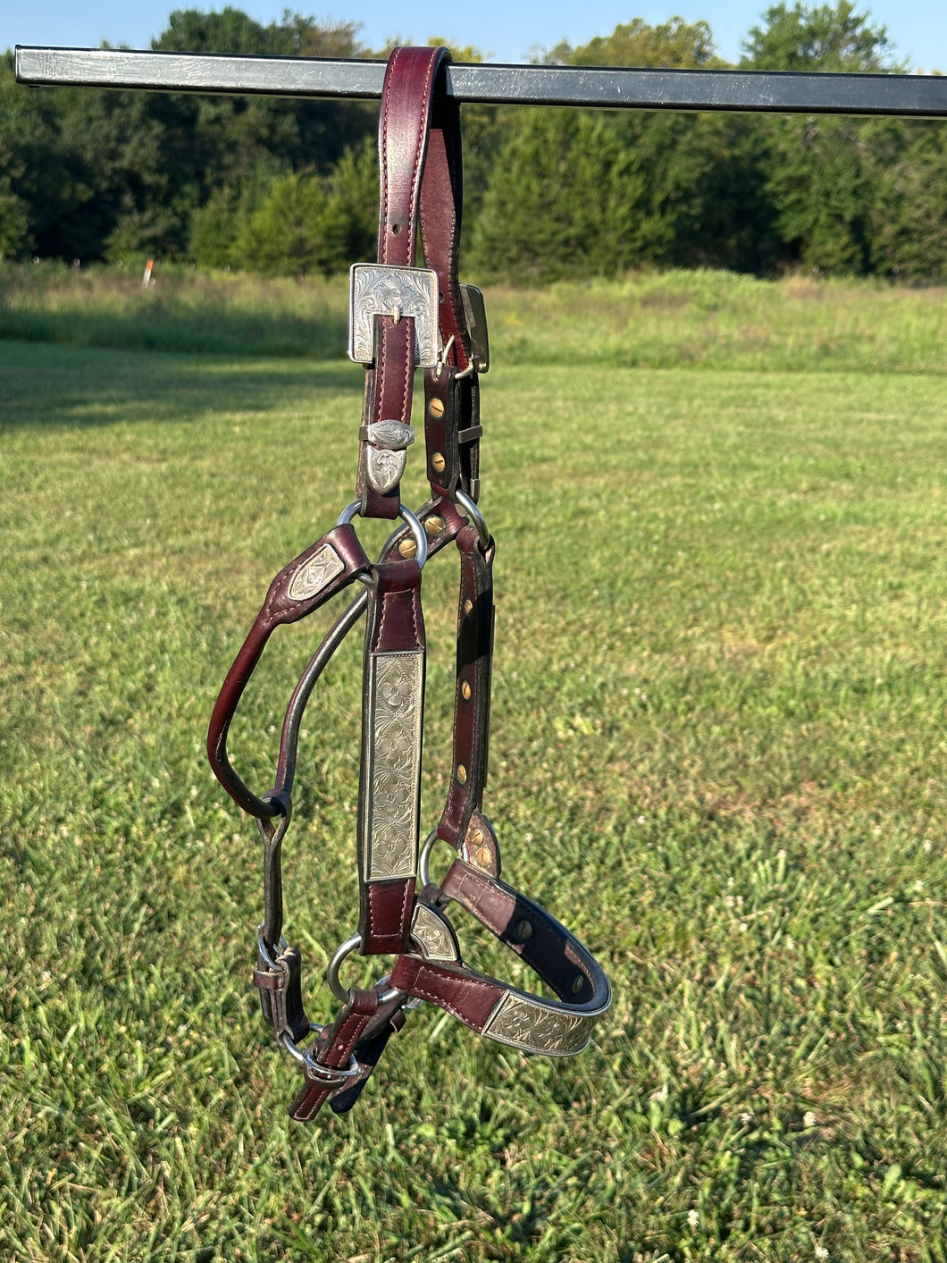 Used Kathy’s Horse Size Show Halter