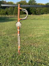 New Blue Ribbon Show Headstall
