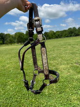 Used Harris Horse Size Show Halter