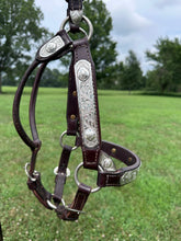 Silver Mesa Mare Size Show Halter & Lead