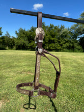 Used Blue Ribbon Horse Size Show Halter