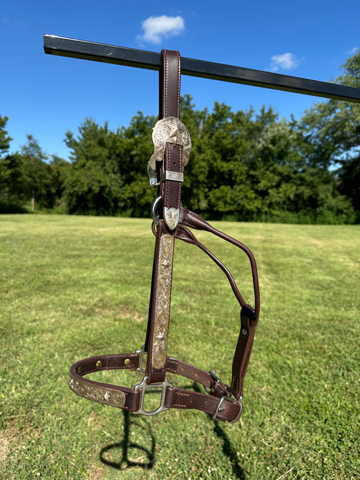 Used Blue Ribbon Horse Size Show Halter