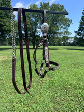 Silver Mesa Mare Size Show Halter & Lead