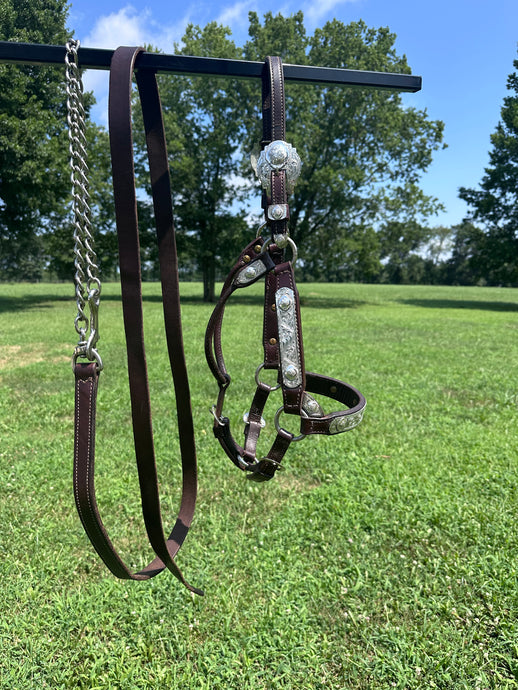 Silver Mesa Mare Size Show Halter & Lead