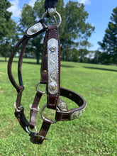 Silver Mesa Mare Size Show Halter & Lead