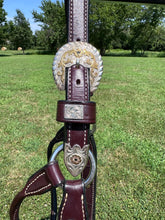 Used Harris Horse Size Show Halter