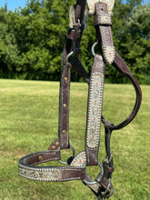 Used Harris Horse Size Show Halter