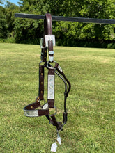 New Kathy’s Yearling Show Halter