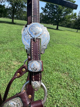 Silver Mesa Mare Size Show Halter & Lead