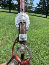 Silver Mesa Horse Size Show Halter