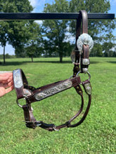 Silver Mesa Mare Size Show Halter & Lead