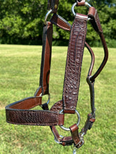 New Kathy’s Horse Size Caiman Show Halter